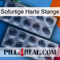 Instant Hard Rod 31